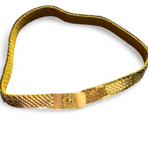 Vintage Belt Gold Stretchy Scale Mesh